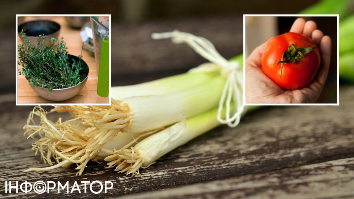 Такого супа вы еще точно не пробовали! Такого супа вы еще точно не пробовали!