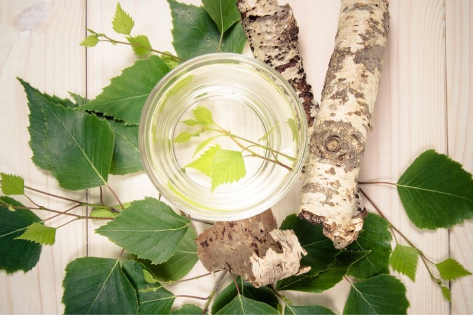 Концентрація корисних речовин у соку залежить від багатьох факторів. Концентрація корисних речовин у соку залежить від багатьох факторів.