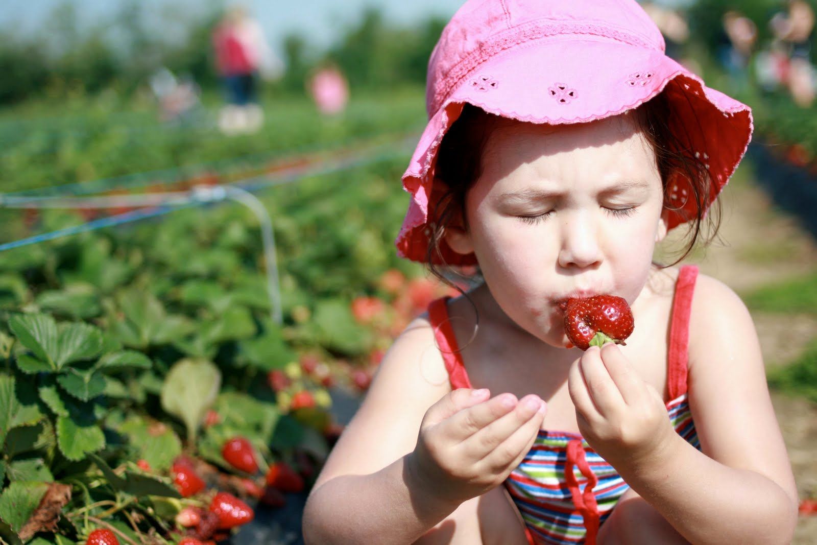 Скоро сезон полуниці - покращуйте зір смачно!