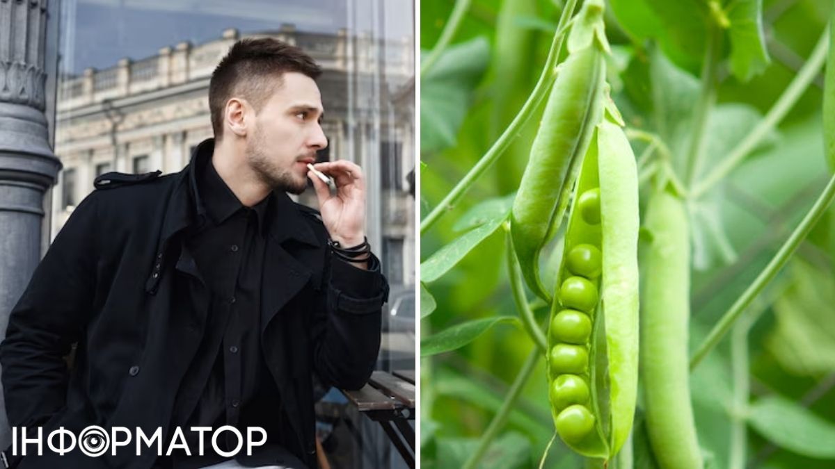 Мужчина и горох