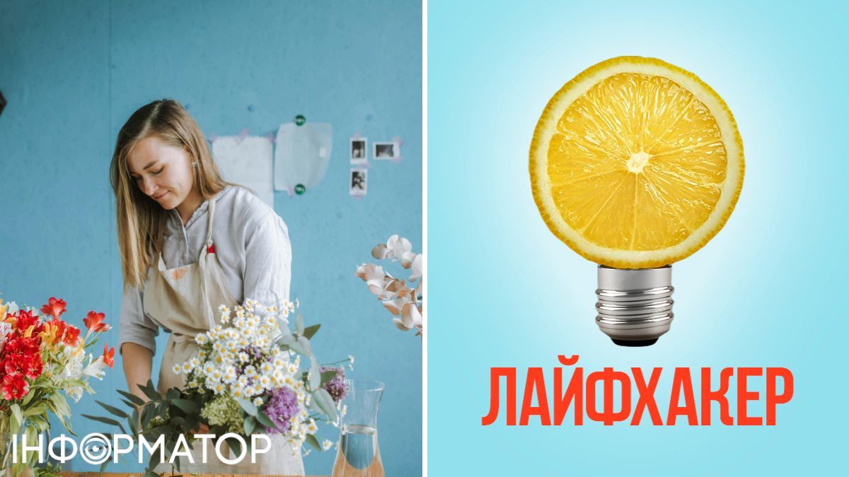 Ароматизатор, прибирання, екологія, корисні поради, лайфхак, алергія, здоров'я