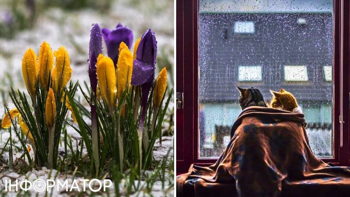 Коти та квіти