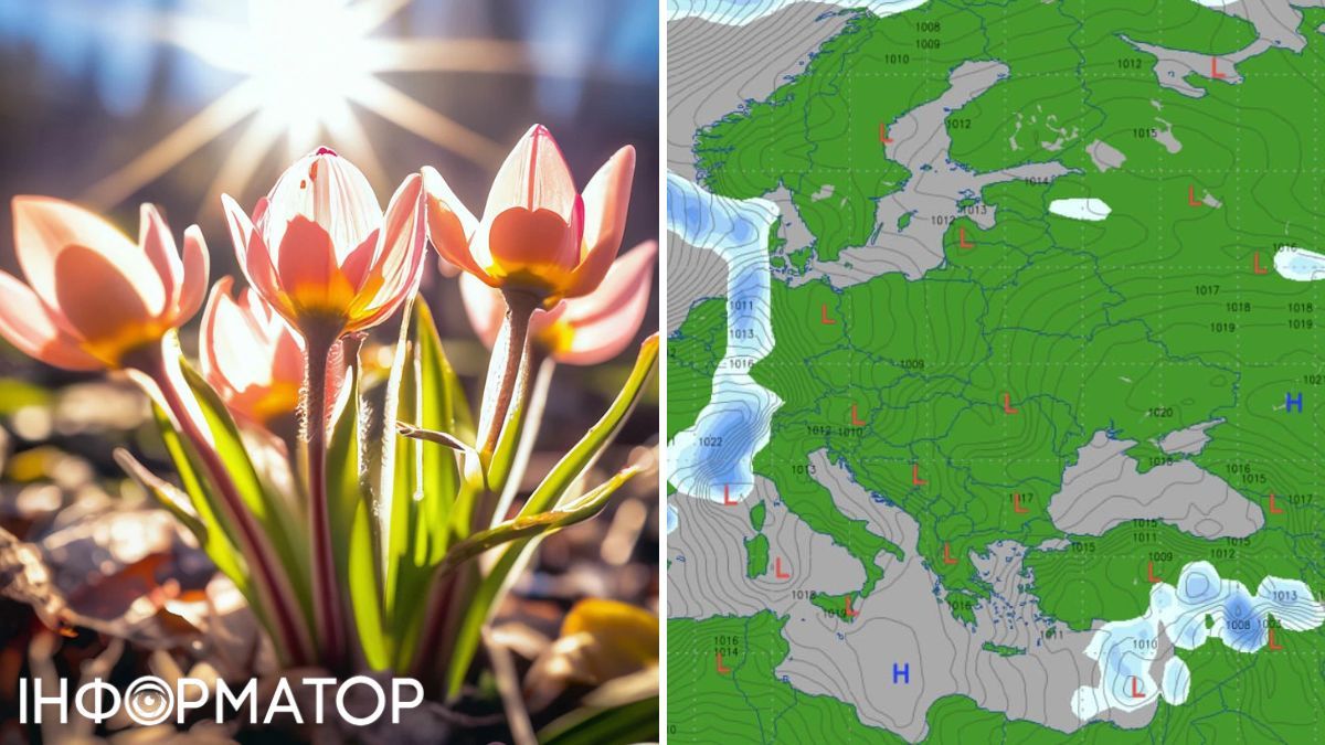 Квіти та карта