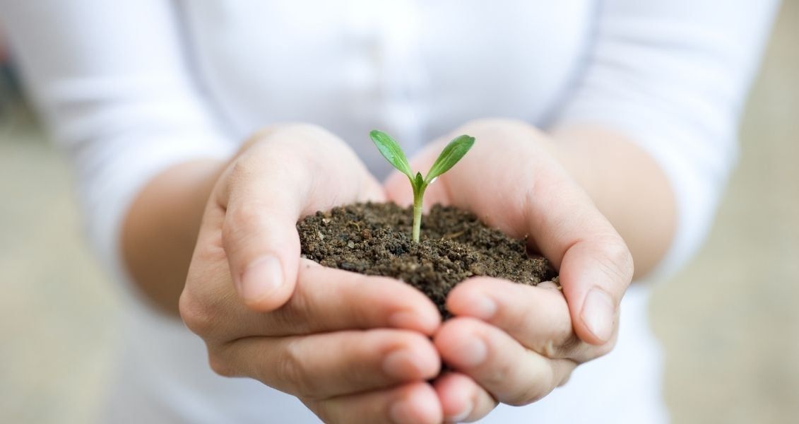 Метою Міжнародного дня подяки рослинам є привернення уваги суспільства до важливості рослин в нашому житті та залучення до збереження природи Метою Міжнародного дня подяки рослинам є привернення уваги суспільства до важливості рослин в нашому житті та залучення до збереження природи