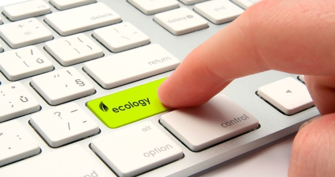 Понад 10% поверхні нашої планети належить до класу заповідних земель