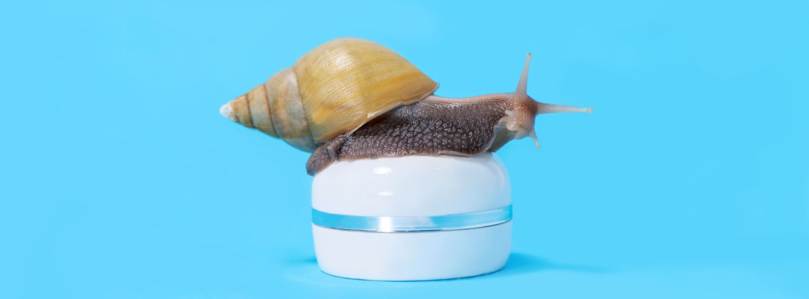 Першопрохідцем стала корейська косметологія. Першопрохідцем стала корейська косметологія.