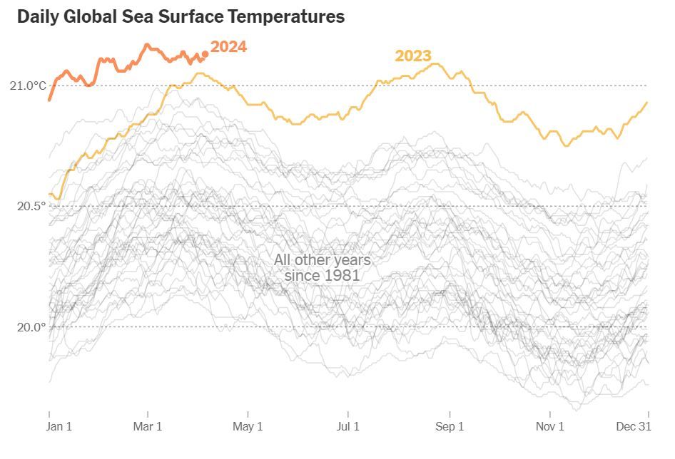 Источник: Climate Reanalyzer, Институт изменения климата при Университете штата Мэн, на основе данных NOAA Optimum Interpolation Sea Surface Temperature (OISST) Примечание: данные до 8 апреля 2024 года. По материалам The New York Times