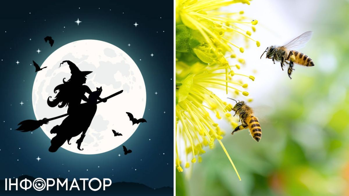Відьма та бджоли