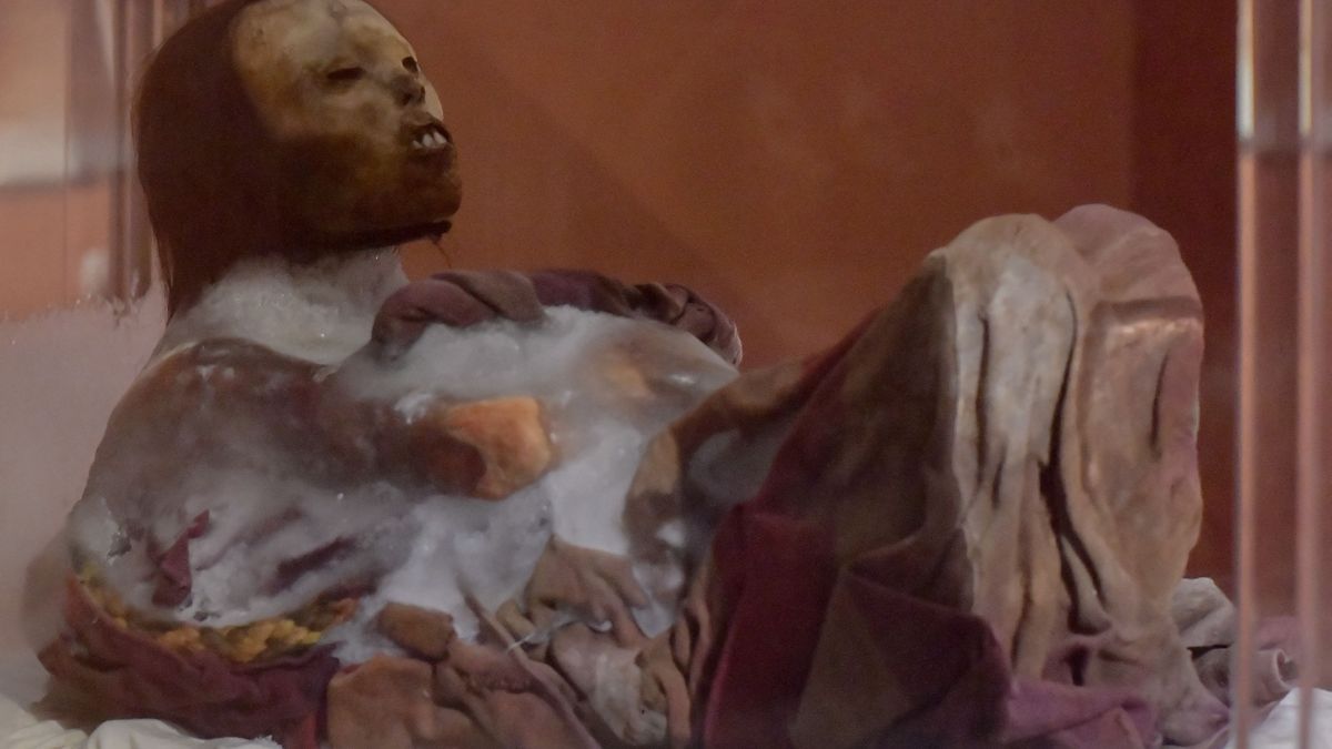 Леди Ампато