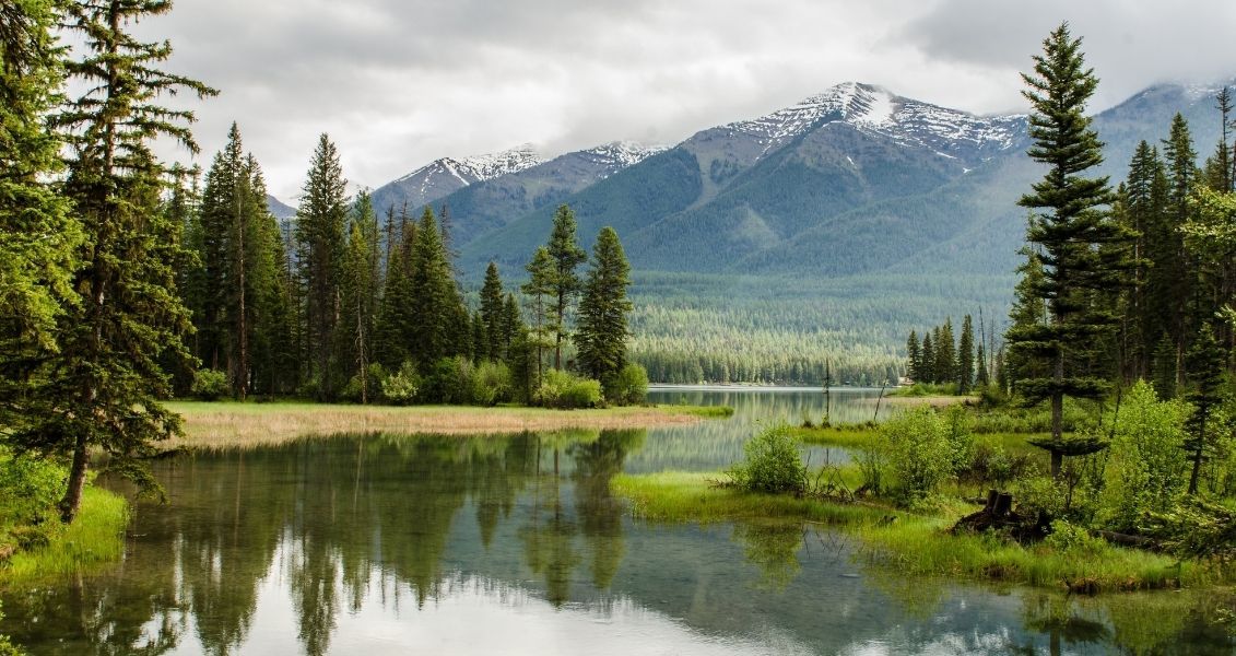 Залишається сподіватися, що конкретні дії з впорядкування й благоустрою середовища, яке нас оточує, не обмежаться лише одним днем у році і День довкілля змусить перейнятися проблемами української екології якомога більше людей