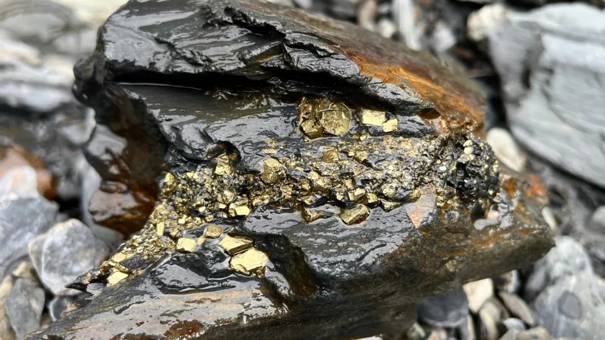 "Дурне" або "біле" золото може виявитись дорожчим за звичайне. "Дурне" або "біле" золото може виявитись дорожчим за звичайне.