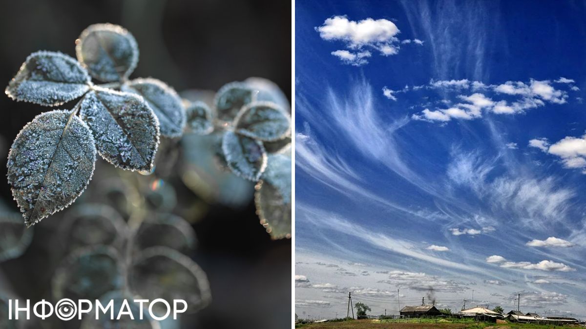 Заморозки и ветер