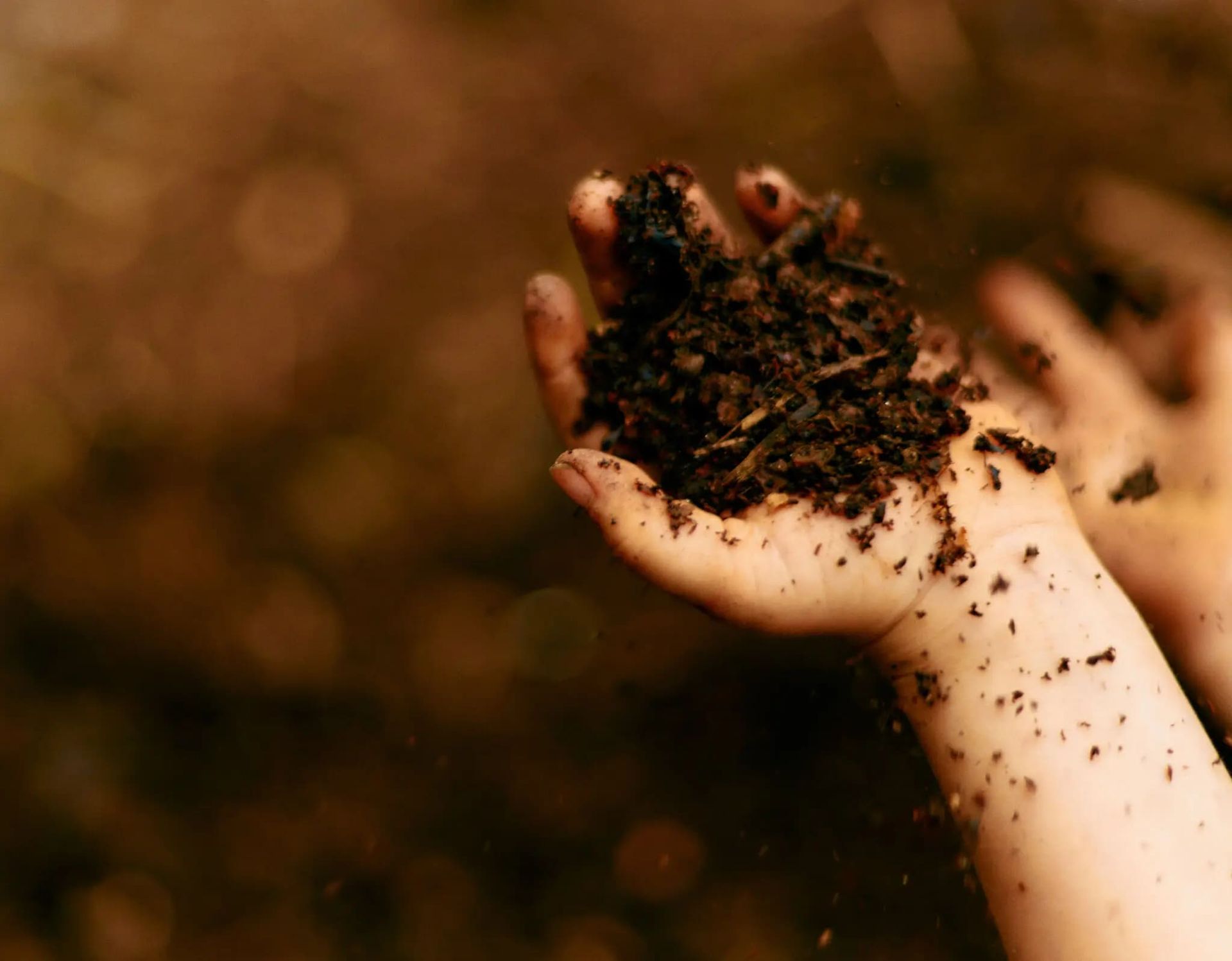 Джерело фото: The New York Times. Джерело фото: The New York Times.