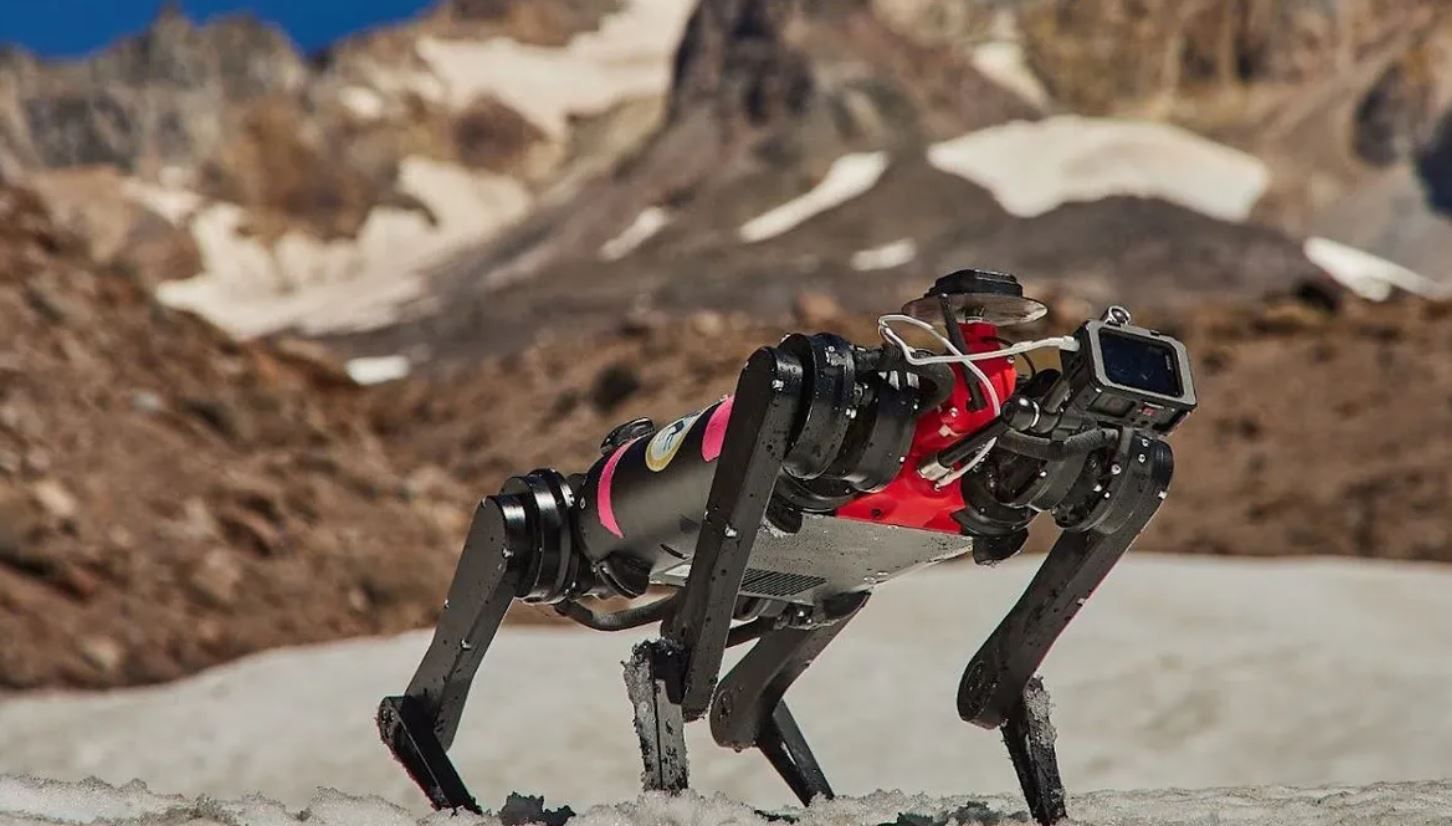 Роботів псів саме випробовують.