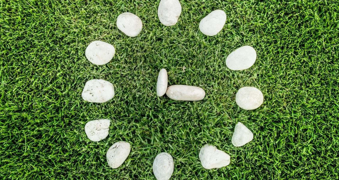 Концепция биологических ритмов уходит корнями в глубину веков, а упоминания о них можно найти еще в древнегреческих текстах