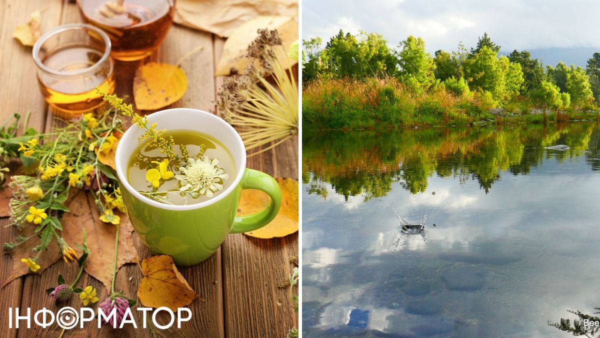 Настойка и природа