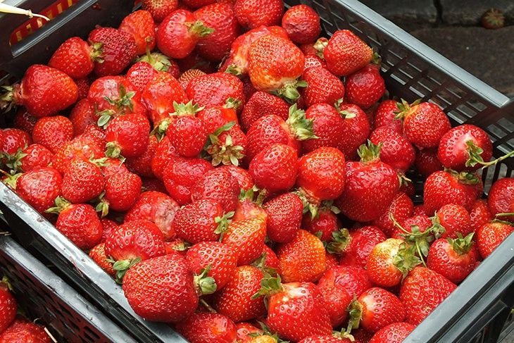 Продукти-алергени не забороняють, а обмежують у кількості. Продукти-алергени не забороняють, а обмежують у кількості.