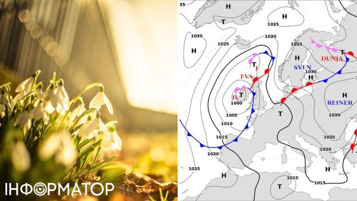 Карта та квіти