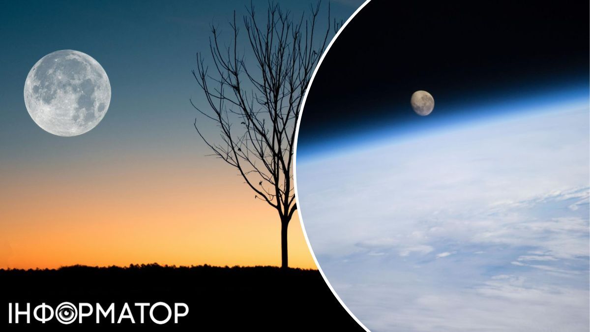 Людство без місяця не загине, але звикати до його відсутності прийдеться довго! Людство без місяця не загине, але звикати до його відсутності прийдеться довго!