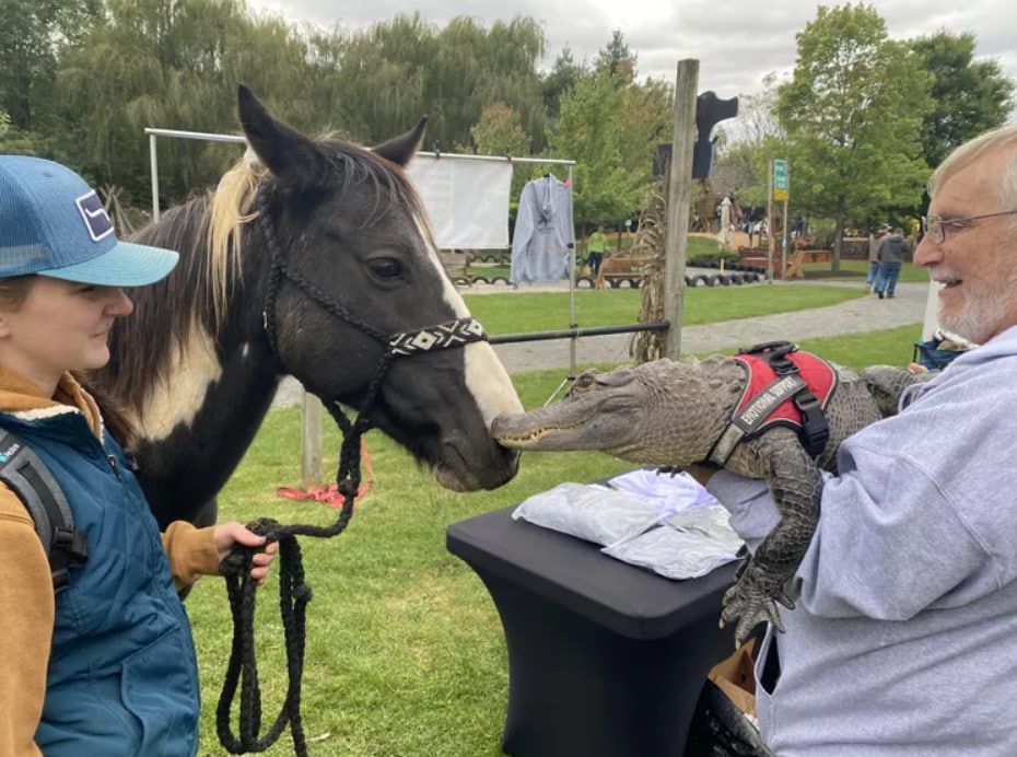 Уоллі та Джої Хенні змінили життя один одного. Уоллі та Джої Хенні змінили життя один одного.