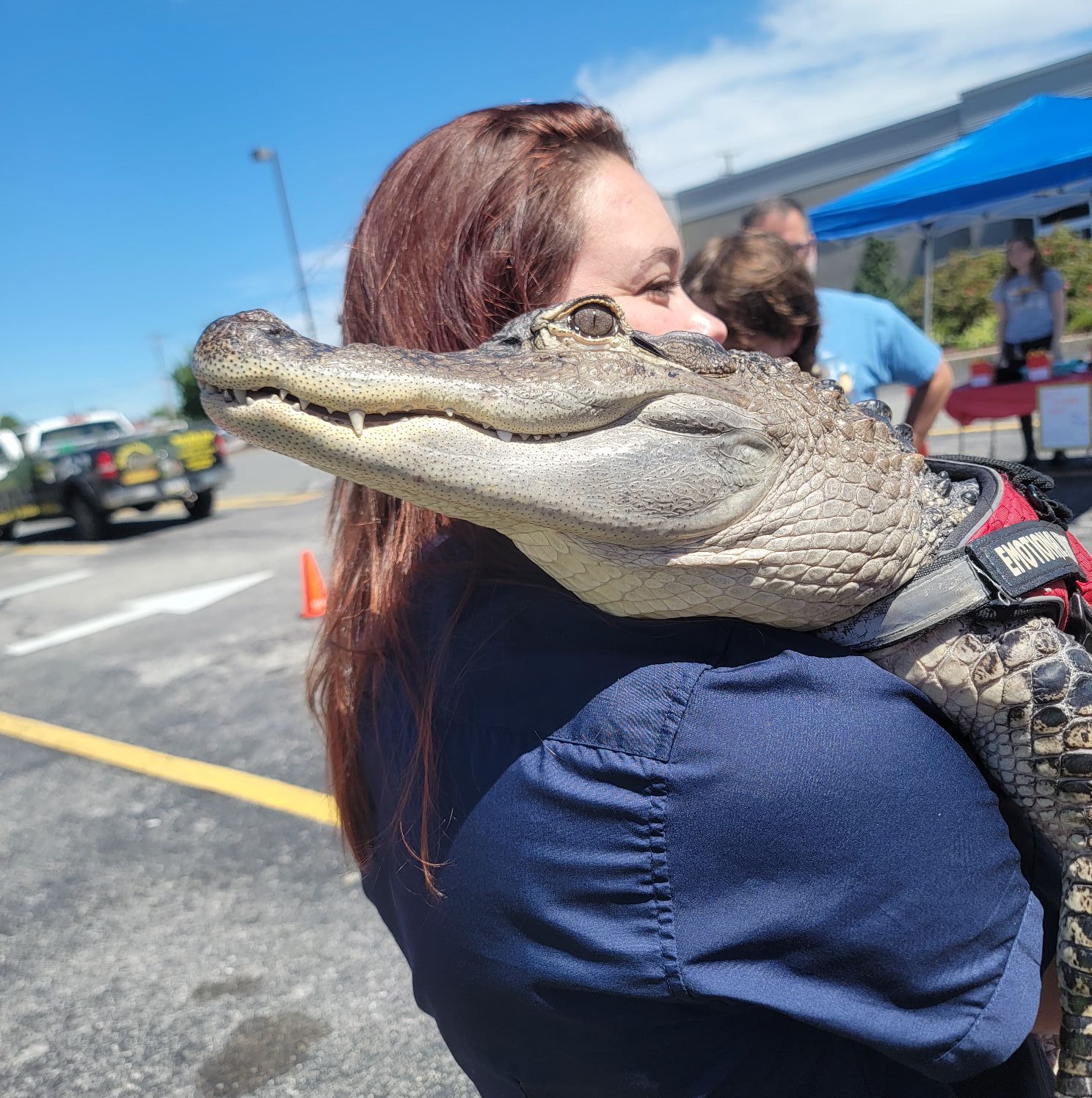 Зараз тисячі фанатів Уоллі публікують свої фотографії з ним, називаючи посмішку крокодила наймилішою на світі. Зараз тисячі фанатів Уоллі публікують свої фотографії з ним, називаючи посмішку крокодила наймилішою на світі.