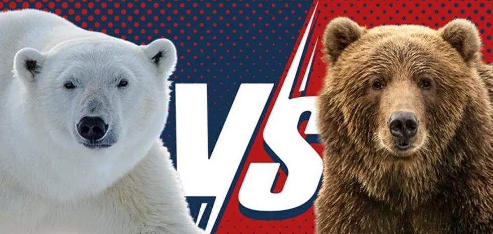 Ці тварини однаково вражюче величезні.