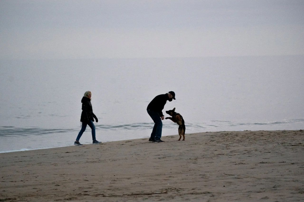 В обстановці поза Білим домом Командор Байдена агресії не виявляв. В обстановці поза Білим домом Командор Байдена агресії не виявляв.
