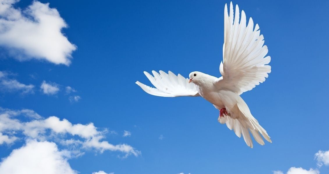 Обов’язково треба читати молитви як за живих, так і за покійних, прохаючи Царства Небесного та прощення гріхів