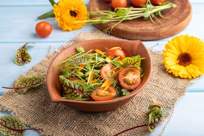 Яскраво-помаранчева календула лікарська - Calendula officinalis - має злегка пікантний, перцевий смак. Яскраво-помаранчева календула лікарська - Calendula officinalis - має злегка пікантний, перцевий смак.