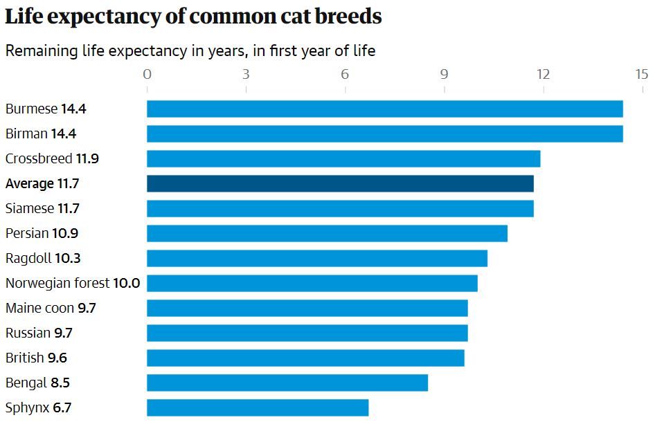 Ученые назвали эти данные статистически достоверными, а не предположением.