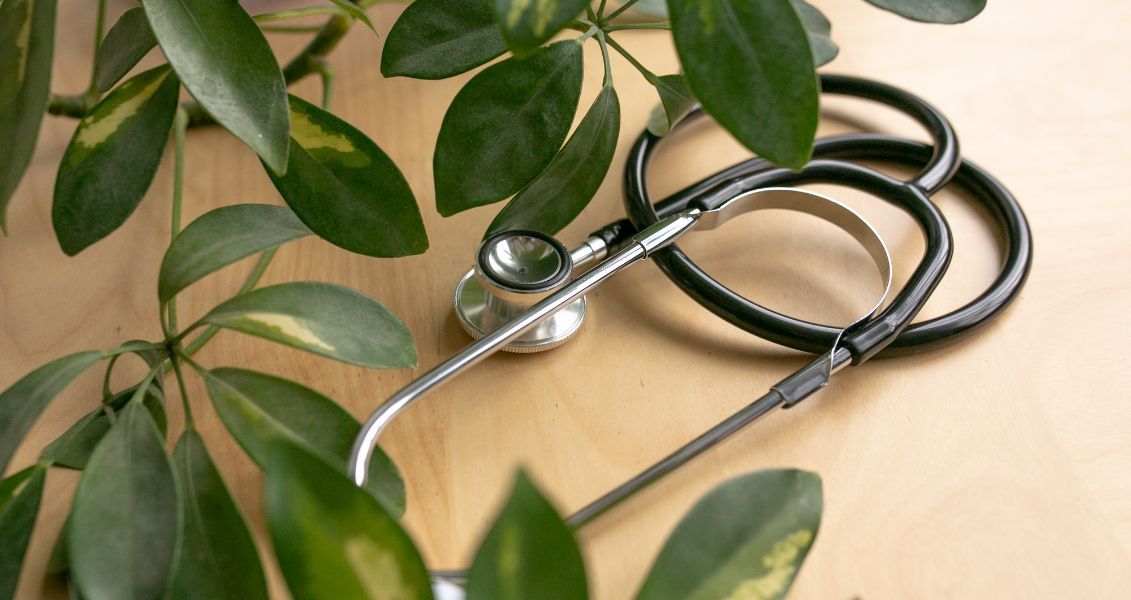 Растения составляют 80% пищи, которую мы потребляем, и обеспечивают 98% кислорода, которым мы дышим