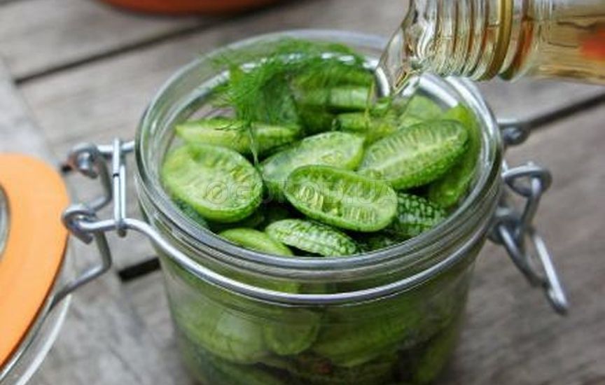 Кукумелон прикрасить собою будь-який салат. Кукумелон прикрасить собою будь-який салат.