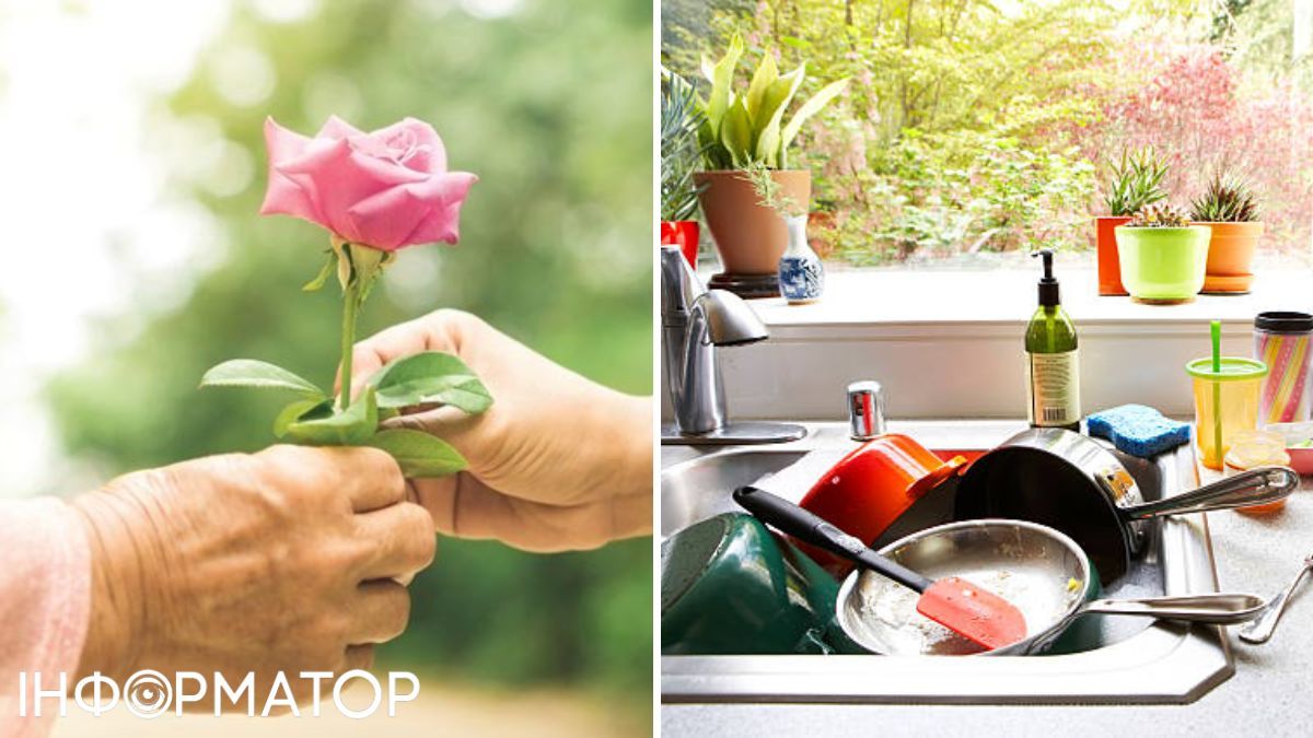 Квітка та посуд