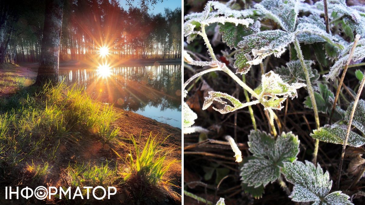 Заморозки та сонце