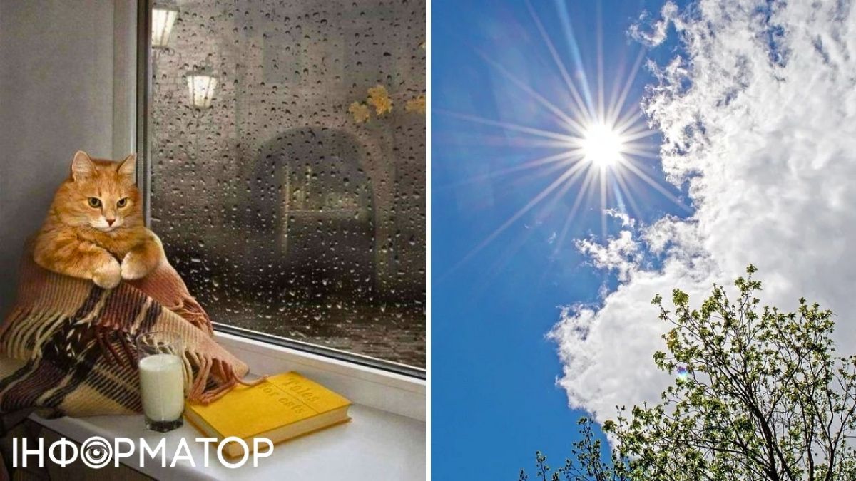 Кот и солнце