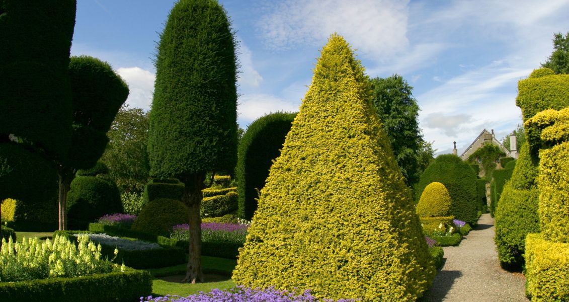 Садівництво та озеленення створюють позитивний вплив на наше фізичне та психічне здоров’я, парки та сади, особливо у мегаполісах, виконують саме цю роль