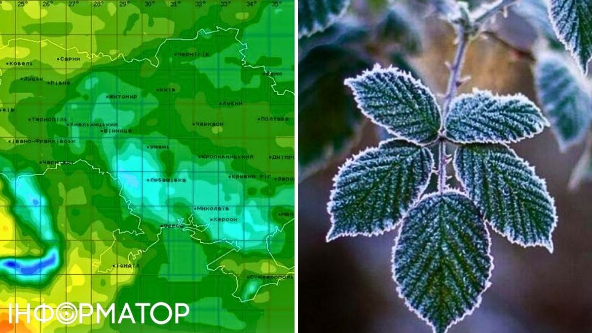 Карта та листя