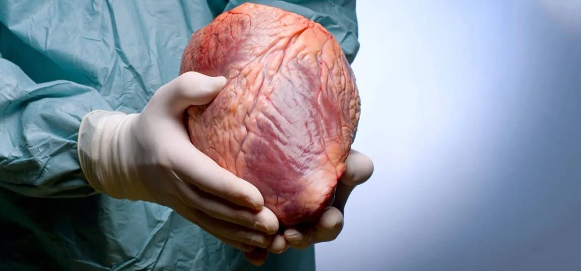 Можливо, серце дійсно містить саму сутність людини. Можливо, серце дійсно містить саму сутність людини.