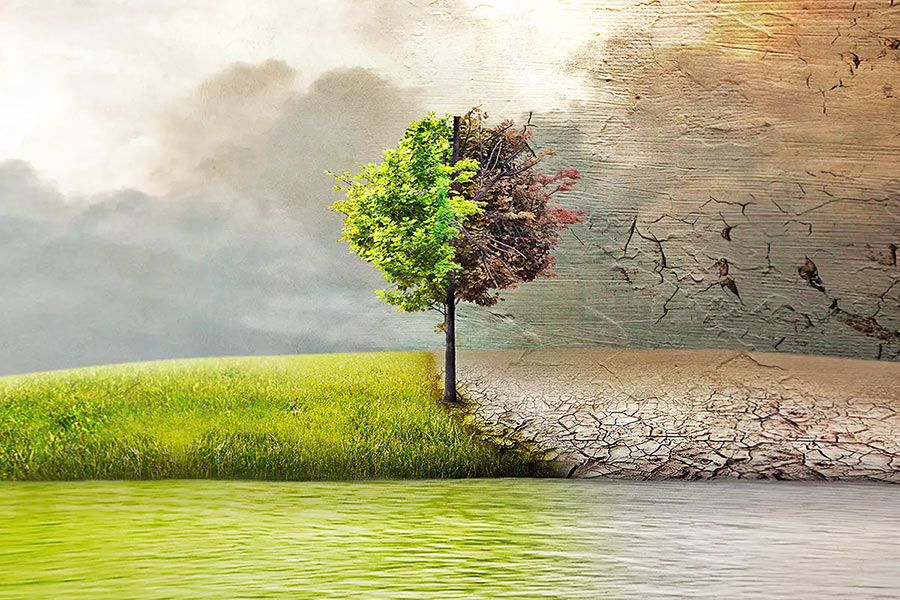 Глобальне потепління може ще зменшити розмір людського мозку. Глобальне потепління може ще зменшити розмір людського мозку.