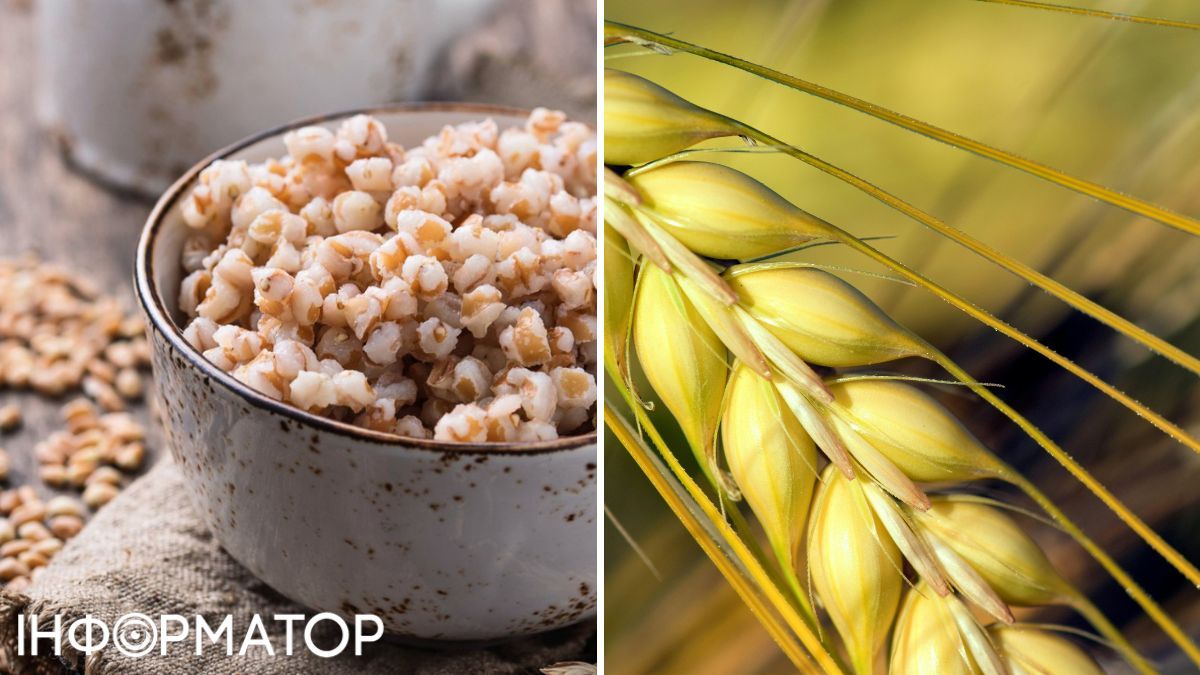 Пророщенный ячмень обладает низкой калорийностью, а энергетическая ценность Пророщенный ячмень обладает низкой калорийностью, а энергетическая ценность