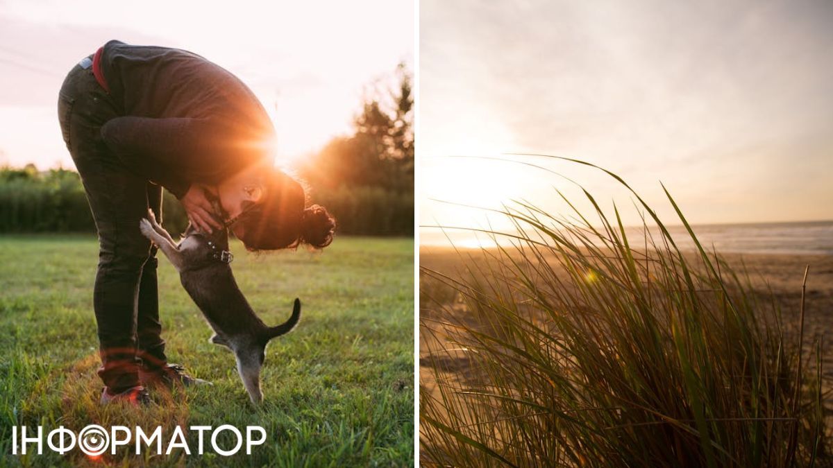 Человек с собакой и трава