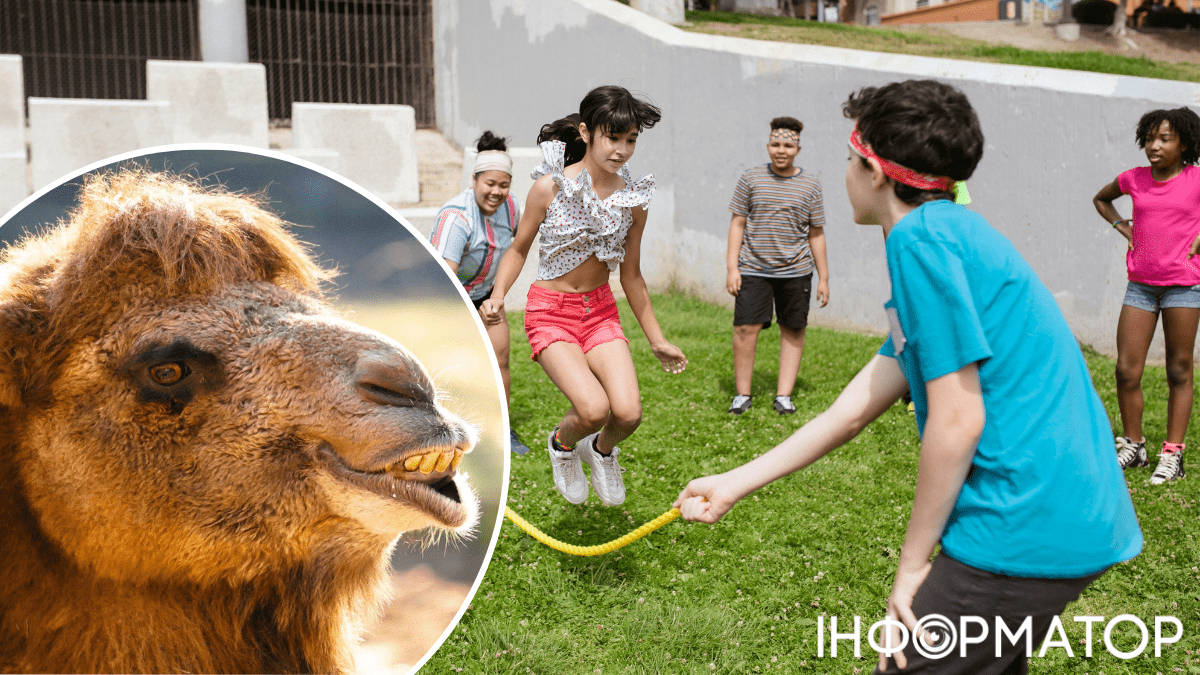 Кіт та робітники