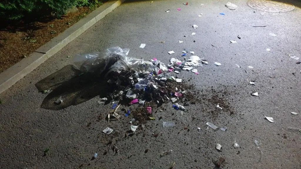 Южнокорейское информационное агентство Yonhap сообщило, что "некоторые из упавших воздушных шаров содержали в себе нечто похожее на фекалии, судя по темному цвету и запаху" Южнокорейское информационное агентство Yonhap сообщило, что "некоторые из упавших воздушных шаров содержали в себе нечто похожее на фекалии, судя по темному цвету и запаху"