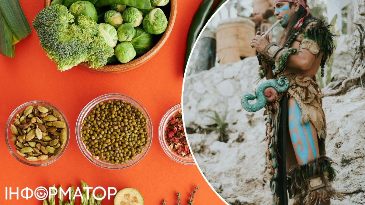 Мая были весьма всеядными, любили всылякы сушеные травы и корешки, а еще они наковывали змей ели! Мая были весьма всеядными, любили всылякы сушеные травы и корешки, а еще они наковывали змей ели!