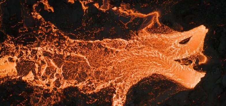 Эльддреки/Огненный дракон Эльддреки/Огненный дракон