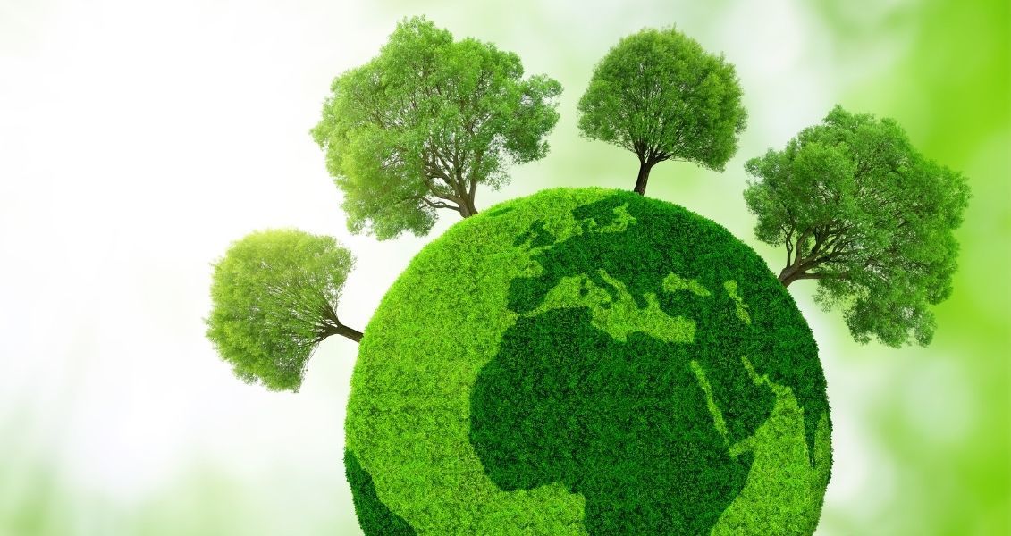 Всемирный день окружающей среды напоминает всем нам о том, что мы часть природы и полностью зависимы от нее Всемирный день окружающей среды напоминает всем нам о том, что мы часть природы и полностью зависимы от нее