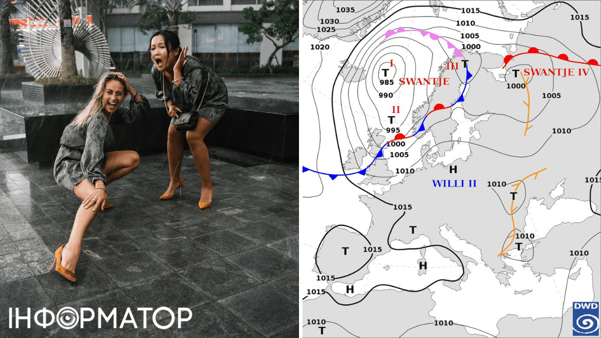 Птица и карта