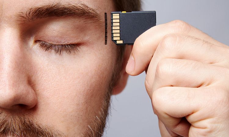 Людська пам'ять залежить від пластичності спеціальних нейронів. Людська пам'ять залежить від пластичності спеціальних нейронів.