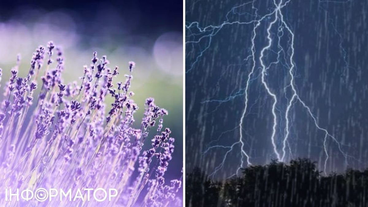 Цветы и гроза