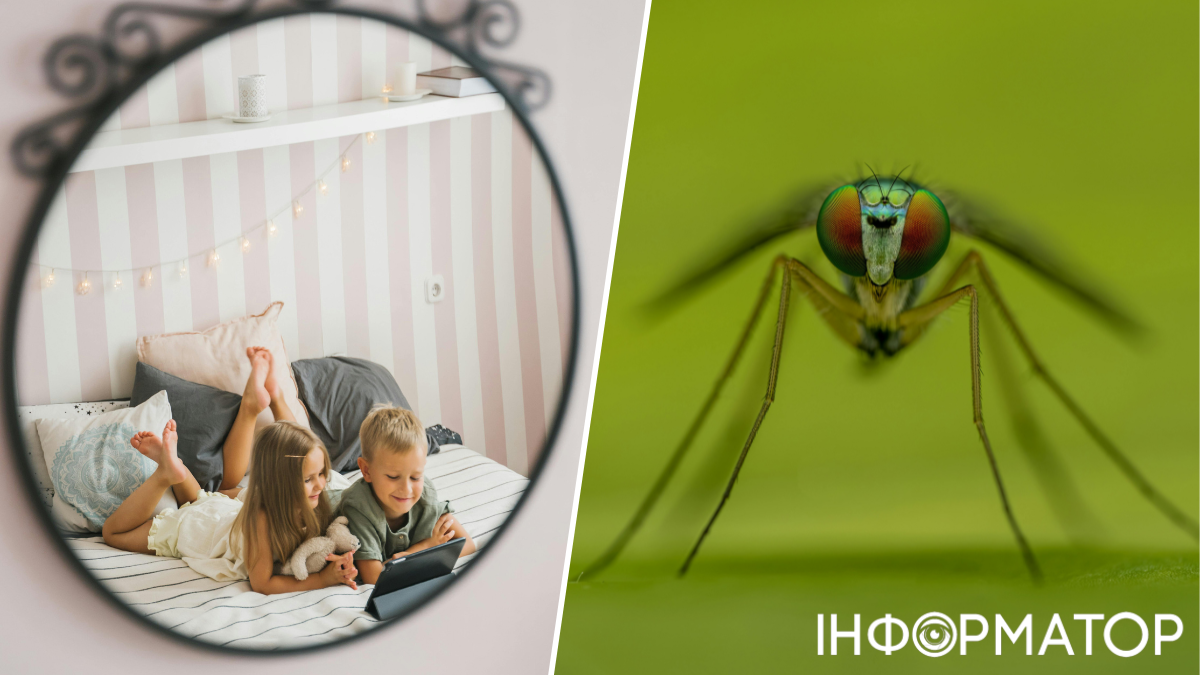 Город и земляника